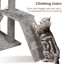 Lislark Cat Trees & Condos