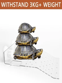 1pc Transparent Turtle Basking Platform, Turtle Tank Basking Ramp, Turtle Climbing Platform, Rest Platform, Suction Cup High Water Level Rest, Deep Water Floating Island Basking Platform (Suction Cup Accessories Style Random)