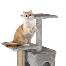 Lislark Cat Trees & Condos