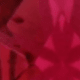Fuchsia Red