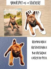 1/6张定制宠物贴纸,定制狗狗贴纸,定制猫咪贴纸,水瓶贴纸,送给狗妈妈的礼物,婚礼礼物,圣诞礼物,定制照片宠物贴纸,定制名字贴纸,个性化宠物照片狗狗猫咪名字贴纸,模切可定制防水乙烯基贴纸,适用于笔记本电脑、水瓶、手机壳等商品装饰贴纸,送给她、他、成人的礼物创意,装饰性,雕刻时尚,潮流,多彩,复古,可爱,简约,萌趣定制,独特,个性化宠物度假氛围,秋季装饰 - 彩色 - 查看 8