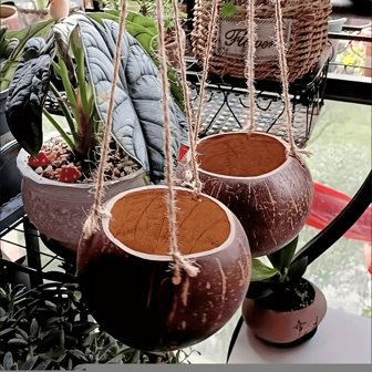 Coconut Shell Hanging Planter, Natural Coconut Shell, Handmade Polished, , Hanging Rope, Plant Pot Container, Retro Farmhouse Restaurant Decor, Plant Stand, Flower Pot, Flower Basket