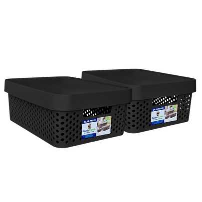 Kit 2 cajas organizadoras con tapa plástico modernas 11 litros para hogar oficina o escuela