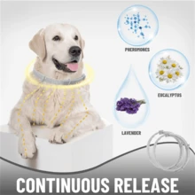 2 Packs Glow-In-The-Dark Dog Collars – Reflective, Adjustable & Lightweight | Night Safety & All-Season Comfort For Small & Medium Dogs