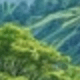 彩色