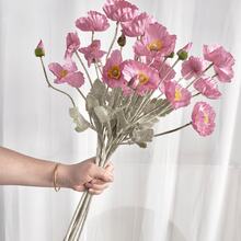 Colore pasta di fagioli