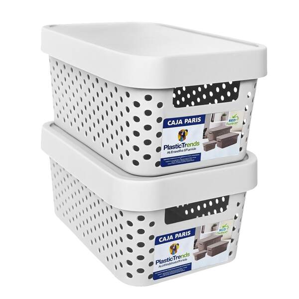 Kit 2 cajas organizadoras con tapa plástico modernas para hogar oficina o escuela