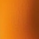 Burnt Orange