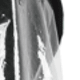 Trong sáng