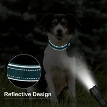 Anti-Lost Dog Collar, Waterproof Airtag Protective Case Reflective Pet Collar (Airtag Locator Not Included), Pet Collar With Tracker Protective Case, Dog Training Collar - Compatible With Apple System Locator, Suitable For French Bulldog, Large Dog Accessories - Multicolor - View 10