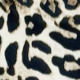 Animal print