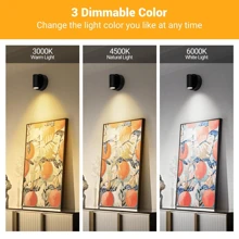 1 件遥控聚光灯，带触摸控制的壁画装饰壁灯，3 种灯光颜色可调光夜灯，壁挂式艺术和植物照明，可充电灯 - 3 Colors - 查看 4