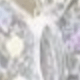 Silver Color Fruit