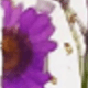 多色1
