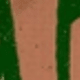 Nhiều màu