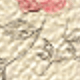 彩色