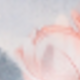 彩色