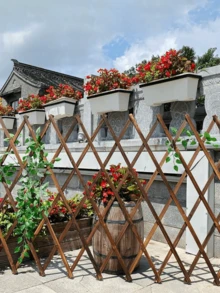 1 件可伸缩植物攀爬凉棚花园木栅栏露台装饰户外栅栏壁挂装饰阳台露台宠物围栏 - 彩色 - 查看 7
