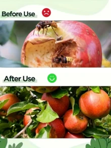 4 PIEZAS Trampas para abejas y avispas - Asesino de insectos colgante para exteriores, diseño transparente, - Atrae y mata abejas carpinteras, abejorros, moscas - Fácil de limpiar para jardín, patio, patio trasero, camping (naranja), Trampas para insectos voladores verde, amarillo