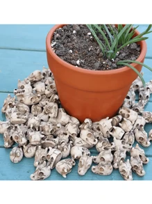 10 件龙头骷髅盆景装饰摆件，适用于酷炫花园装饰微缩模型、花园铺路石雕像、鱼缸装饰铺路雕像、万圣节装饰摆件、万圣节派对礼品、万圣节装饰用品 - 彩色 - 查看 4