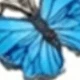 1#[الفراشة الزرقاء الكبيرة]