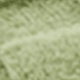 Sprout Green