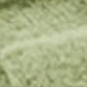 Sprout Green
