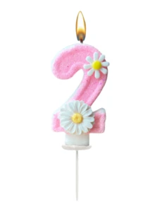 New Flower Decor 0-9 Number Candles, Birthday Cake Decorations, Party Candles, Atmosphere Party Supplies, Romantic Party Supplies, Birthday Candles, Personal Party, Graduation Party, Halloween, Christmas, Birthday Party, Etc. Cake Decorations, Baking Decorations, Creative Number Birthday Candles, Birthday Cake Decorative Candles, Valentine's Day Decorations, Suitable For 1-100 Years Old Birthday Party Cake Decorations