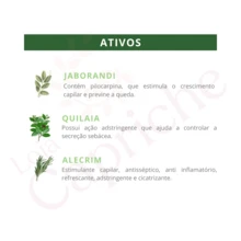 Kit Jaborandi Shampoo, Condicionador e Banho de Creme Bio Extratus - 1L Antiqueda e Crescimento