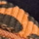 màu nâu
