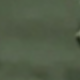 軍綠色