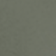 Pistachio Green