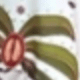 French Vanilla