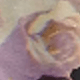白玫瑰