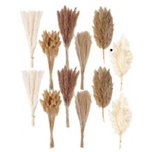 110pcs Dried Pampas Grass Bouquet - Brown & White, Ideal For Wedding, Home Decor, Parties | Multi-Purpose Decor For Christmas, Halloween, Thanksgiving - 彩色 - 查看 9