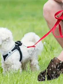 Leak-Proof Pet Waste Bags-10/20/40/50Rolls | Thick, , Odor-Control For HygienicFood & Pet Cleanup