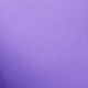 彩色