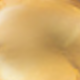 Dorado