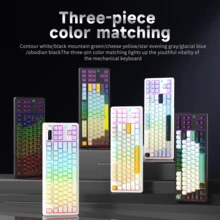 NACODEX AJAZZ AK870 V2 kabelgebundene/Drei-Modus mechanische Tastatur mit GASKET-Struktur, Vollständig austauschbare Tasten, 10.000 mAh Akkulaufzeit mit TFT-Farbbildschirm
