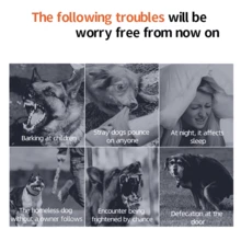 手持式驱狗器 超声波驱狗器 止吠器 双探头高功率驱狗器 手持式训狗器（适用于怕狗人士） 户外驱狗器 止吠训练器 带LED灯的超声波驱狗器 止吠器 狗狗敏捷训练设备 隧道止吠器