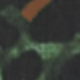 Tigre verde