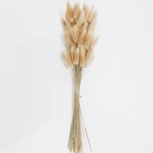 Set da 30/60/120 pezzi di profumo naturale di erba coda di coniglio lagurus ovatus - riempitivi per vasi morbidi e soffici, perfetti per decorazioni natalizie, di San Valentino, della Festa della Mamma, compleanni, lauree, autunno