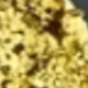 Corona de oro