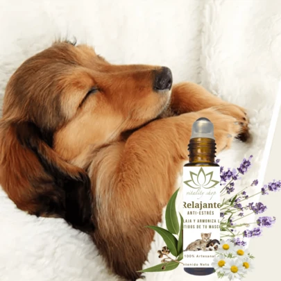 Roll On Relajante Calmante Antiestrés Para Mascotas Perros y Gatos Relax Roll On Mascotas Antiestrés Calmante Aceite Esencial Aroma Natural Perros Gatos Bienestar Equilibrio Animal Pet Care