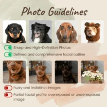 1 pezzo Collana con ciondolo targhetta personalizzata con foto del tuo animale domestico, gioiello commemorativo in acciaio inossidabile, forniture scolastiche, per il ritorno a scuola, regalo scolastico, per l'ufficio, per la scuola, per l'aula, per regali agli insegnanti, per l'università, per i colleghi, per le camere da letto, per gli insegnanti, per i ragazzi, elegante autunno, delicata storia d'amore