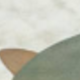 Brown Green