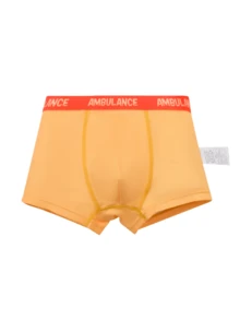 4件套男童恐龙印花平角内裤，儿童内裤套装