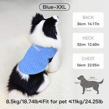 1 件轻便透气有弹性的宠物背心，适合中小型犬，春夏季