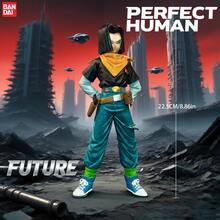 BANDAI 1 件收藏品人偶，独特时尚双人人偶，17 和 18 岁肌肉发达的武术长老怪物人偶，阳光男孩书桌装饰，书架装饰，收藏品人偶，1:1 复制模型，送给朋友、学生、节日的最佳礼物，动漫 PVC 人偶，动漫主题家居装饰必备品，圣诞节和新年礼物 - 彩色 - 查看 5