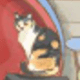 彩色